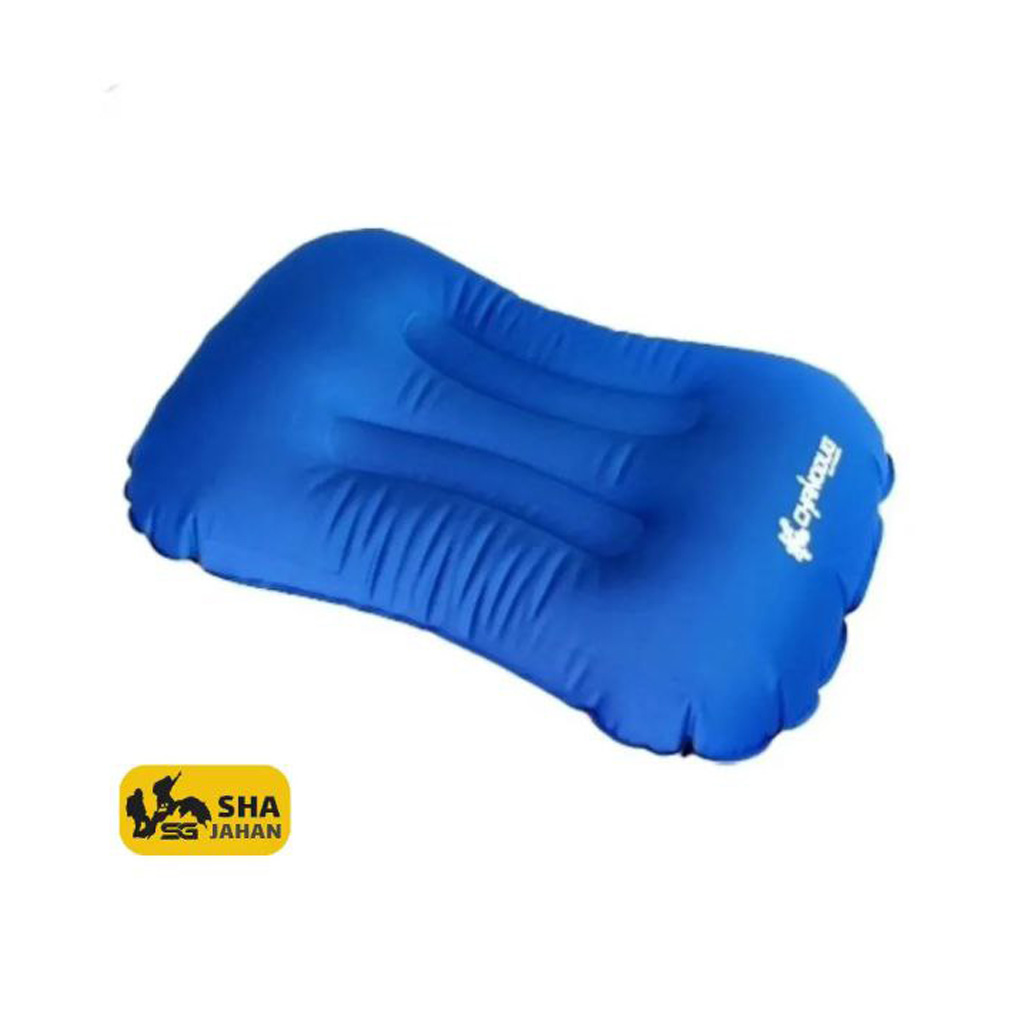 بالش بادی تلمبه دار چانوداگ